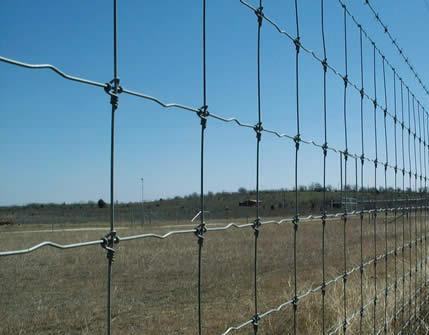 刺繩防護(hù)網(wǎng) 刺繩防護(hù)網(wǎng)