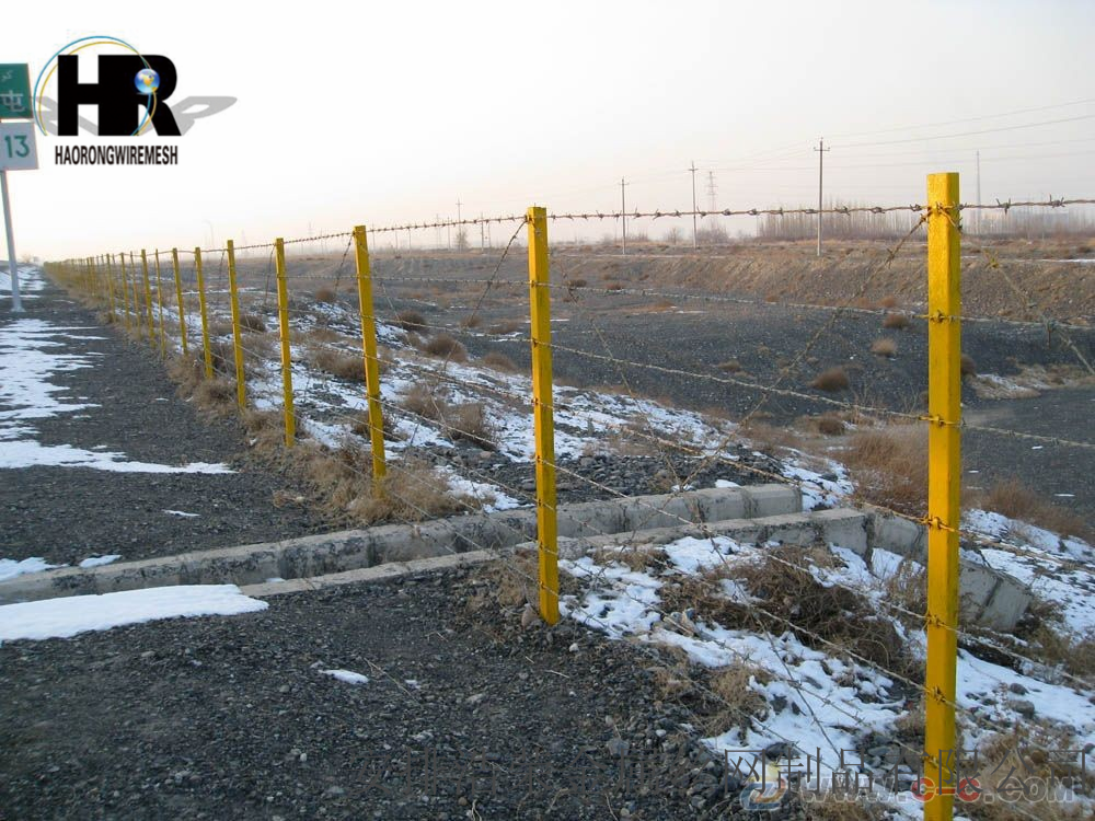 刺絲隔離柵 刺絲隔離柵